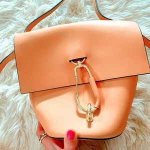 Zac Zac Posen bag
